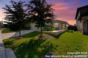 2041 Rhesus in San Antonio, TX - Building Photo - Building Photo