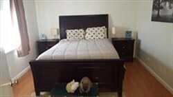 31 Lake Shore Ct in Boston, MA - Building Photo - Building Photo