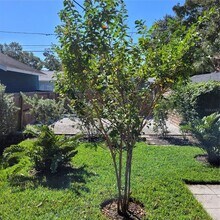 2710 2nd Ave N in St. Petersburg, FL - Building Photo - Building Photo