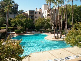 310 N Civic Dr in Walnut Creek, CA - Building Photo