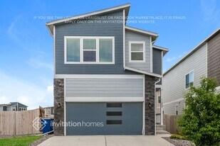 11273 Bufflehead Ln in Colorado Springs, CO - Building Photo