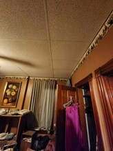 719 Thrush Ave in St. Louis, MO - Building Photo - Building Photo