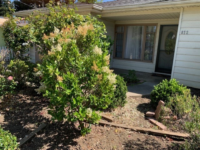 872 Lori Ave in Sunnyvale, CA - Building Photo - Building Photo