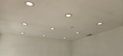 339 N Harvard Blvd in Los Angeles, CA - Foto de edificio - Building Photo