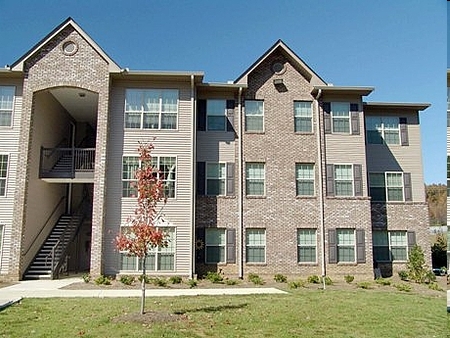 Mineral Springs Apartments in Blue Ridge, GA - Building Photo - Building Photo