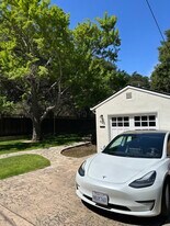 903 Timothy Ln in Menlo Park, CA - Building Photo