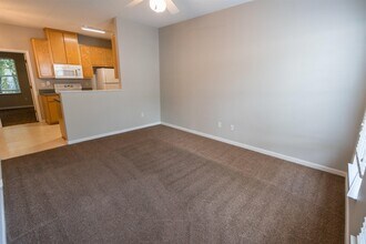 3213 Allison Marie Ct in Tallahassee, FL - Building Photo - Building Photo