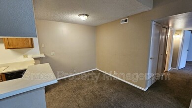 907 S Yampa St in Aurora, CO - Building Photo - Building Photo