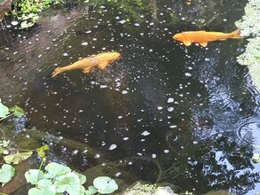 120 W 10th St in Loveland, CO - Building Photo - Building Photo