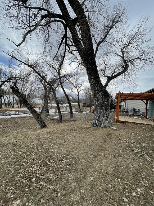 305 Conrad St Rentals in Buffalo, WY