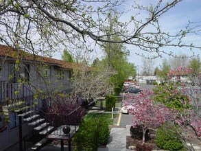 Avalon Court Apartments in Kennewick, WA - Building Photo - Building Photo