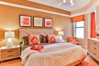 Cielo in Charlotte, NC - Building Photo - Interior Photo
