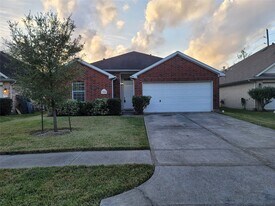 3906 Teal Run Meadows Dr in Fresno, TX - Building Photo