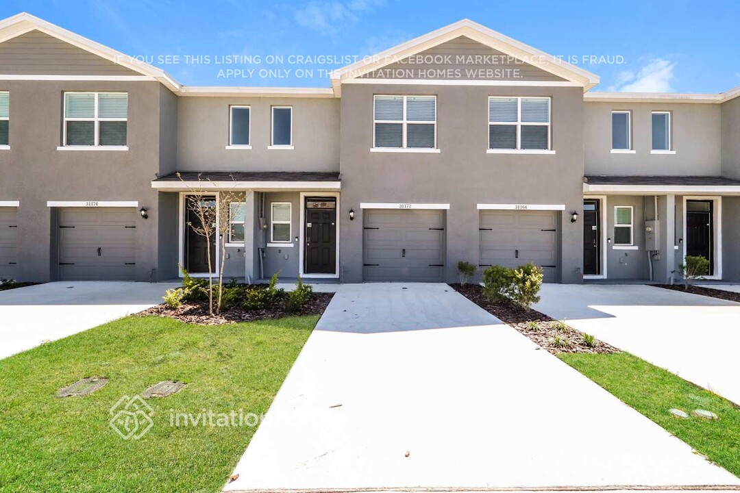 31172 Striped Maple Ln in Wesley Chapel, FL - Building Photo