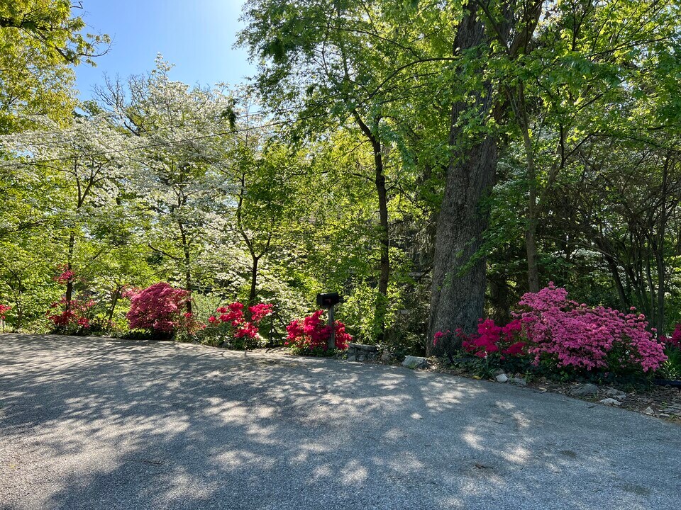 2948 Albemarle St NW in Washington, DC - Building Photo