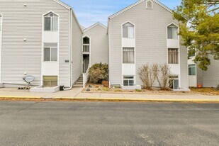 3432 S Locust St in Denver, CO - Building Photo