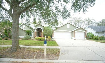 3807 Turkey Oak Dr in Valrico, FL - Building Photo