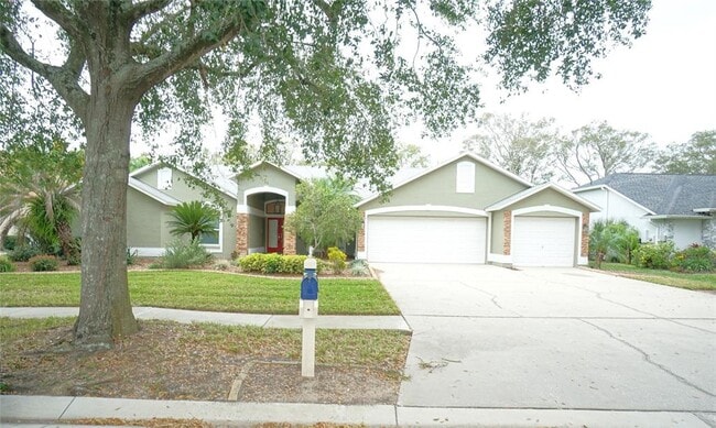 3807 Turkey Oak Dr