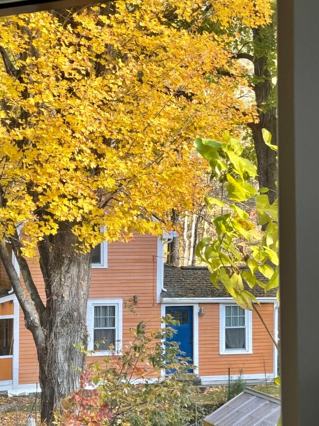 256 Shelburne Falls Rd in Conway, MA - Building Photo - Building Photo