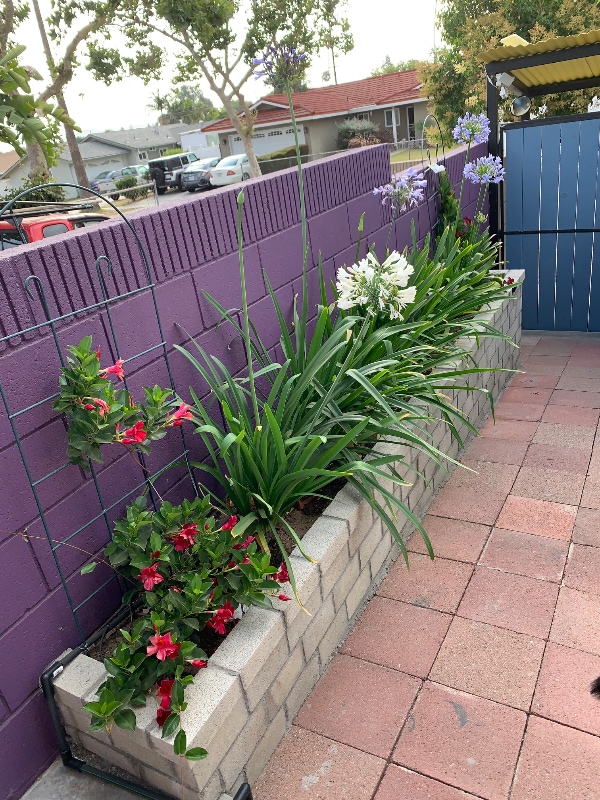 15247 Binney St in Hacienda Heights, CA - Foto de edificio - Building Photo