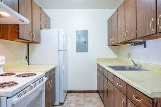 Forest View Apartments in Stevens Point, WI - Foto de edificio - Building Photo