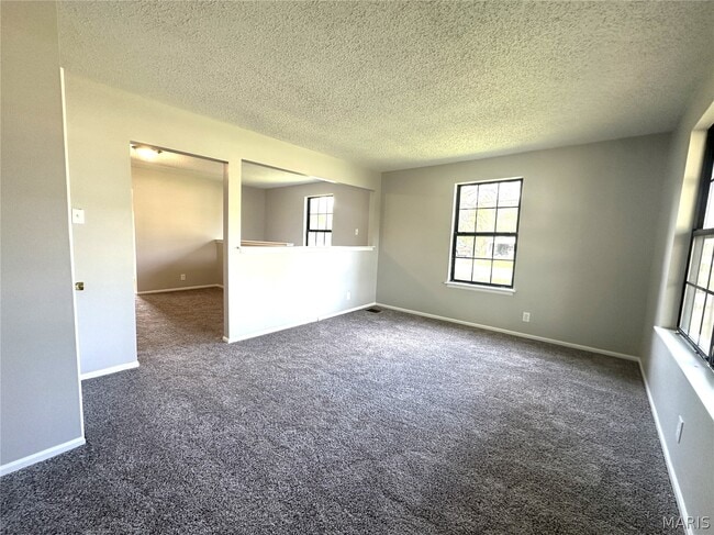 10063 Northgate Dr in St. Louis, MO - Building Photo - Building Photo