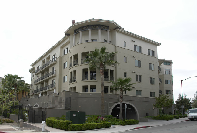 The Montecito Condominiums in Walnut Creek, CA - Building Photo - Building Photo