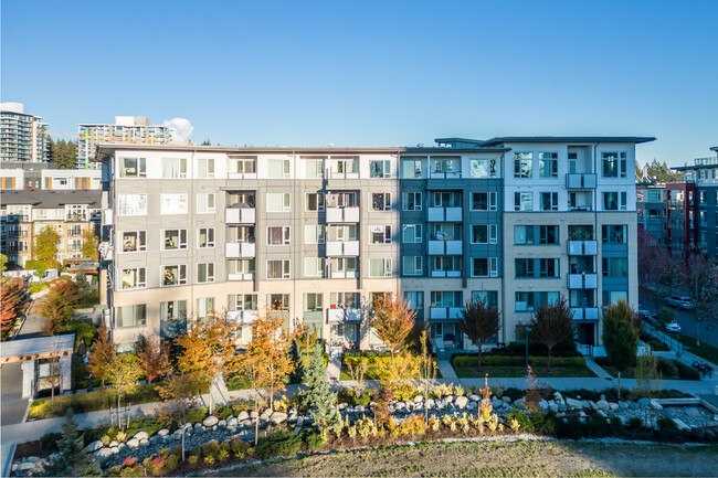 Pine House in Vancouver, BC - Building Photo - Building Photo