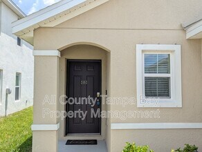 16549 Mosaic Oar Dr in Wimauma, FL - Building Photo - Building Photo