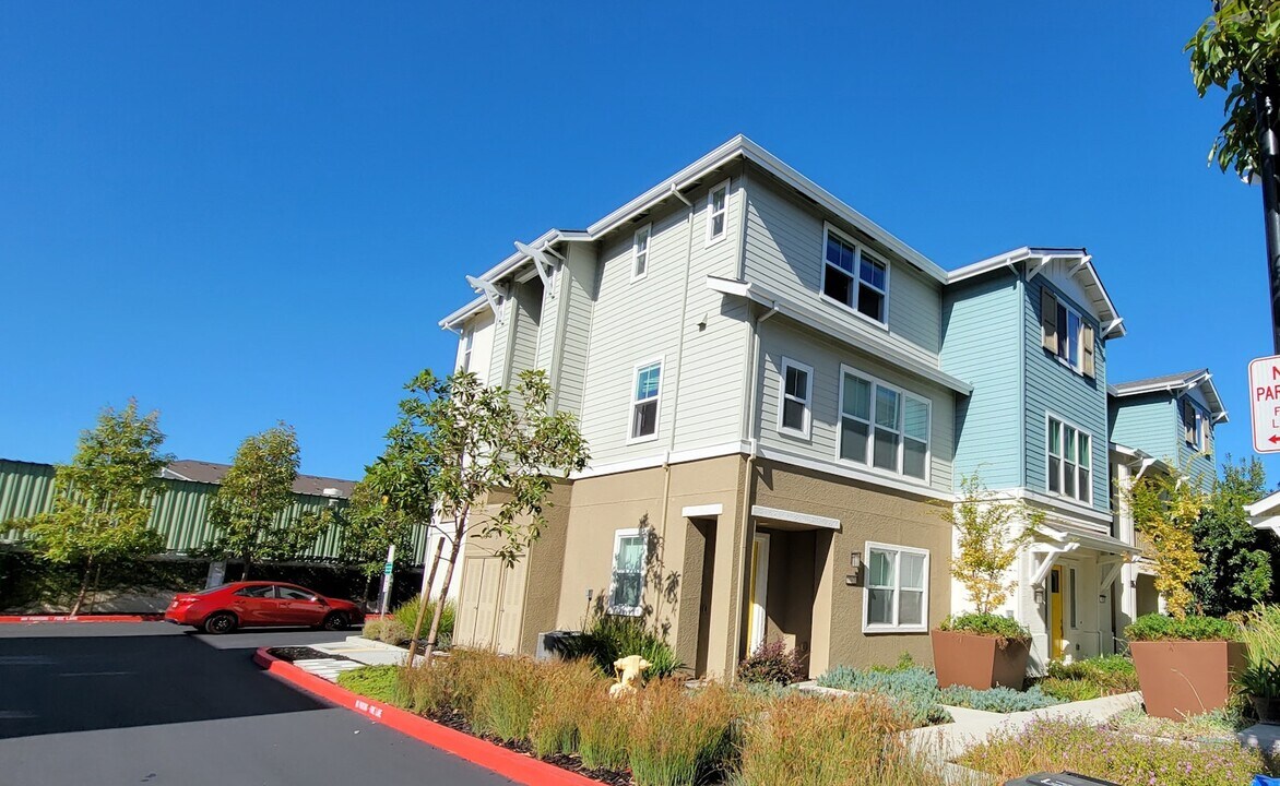 37970 Luma Ter in Newark, CA - Building Photo