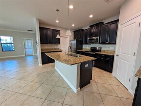 11024 Little Blue Heron Dr in Riverview, FL - Building Photo - Building Photo