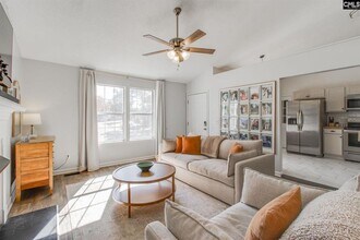 213 Firebridge Ct in Chapin, SC - Building Photo - Building Photo