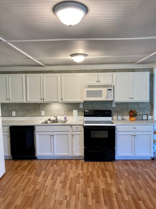 643 Gilbert Rd Rentals in Henagar, AL