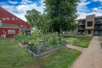 Stonegate Village by Royse + Brinkmeyer in Champaign, IL - Building Photo - Building Photo