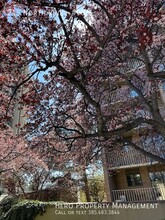 245 N Vine St in Salt Lake City, UT - Foto de edificio - Building Photo