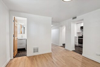 489 S Sherman St, Unit Unit 1 in Denver, CO - Building Photo - Building Photo