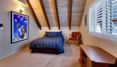 3710 Needle Peak Rd in South Lake Tahoe, CA - Building Photo - Building Photo