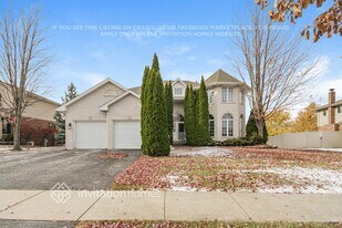 18160 Goesel Dr in Tinley Park, IL - Building Photo