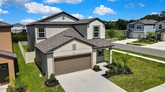 9937 Aqua Miles Path in Wesley Chapel, FL - Building Photo