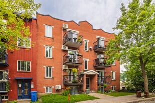 2386 Moreau Rue in Montréal, QC - Building Photo