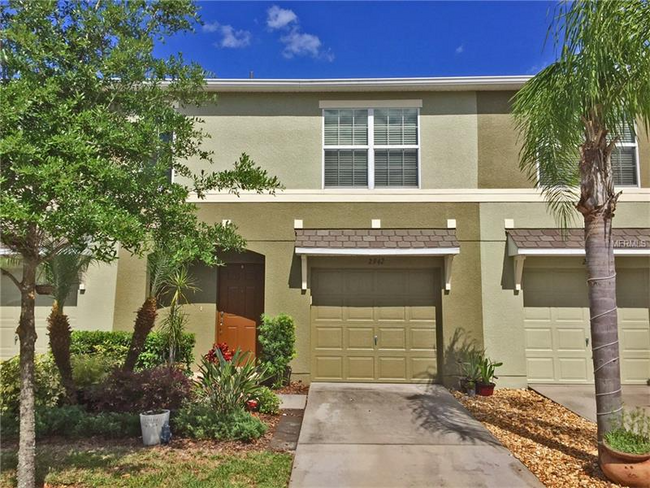 2942 Willowleaf Ln in Wesley Chapel, FL - Building Photo - Building Photo