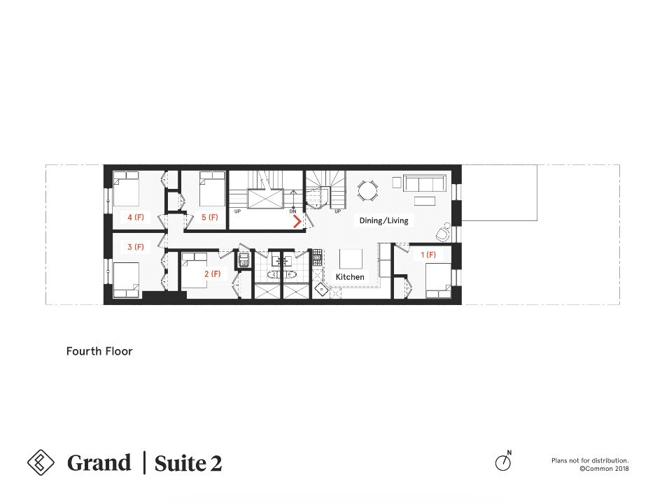 Common Grand Apartments Brooklyn, NY Apartments For Rent