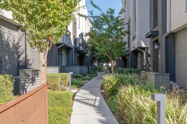 3479 Client Cmn in Fremont, CA - Building Photo - Building Photo