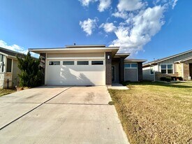 113 Filifera Ct in Leander, TX - Building Photo