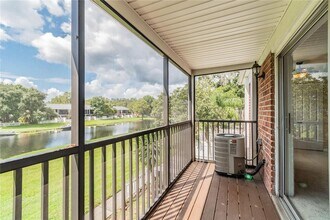 13692 Orange Sunset Dr in Tampa, FL - Building Photo - Building Photo