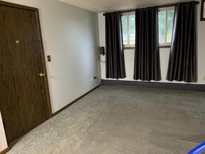 503 Maple St, Unit Apt. 1 in Wilton, IA - Building Photo - Building Photo