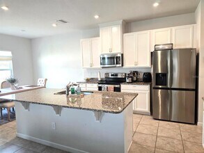 10682 Old Sycamore Lp in Land O Lakes, FL - Building Photo - Building Photo