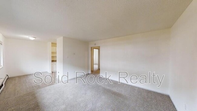 1411 S Corona Ave in Colorado Springs, CO - Building Photo - Building Photo