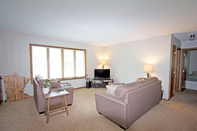 301 5th St S, Unit 4 in Cannon Falls, MN - Building Photo - Building Photo