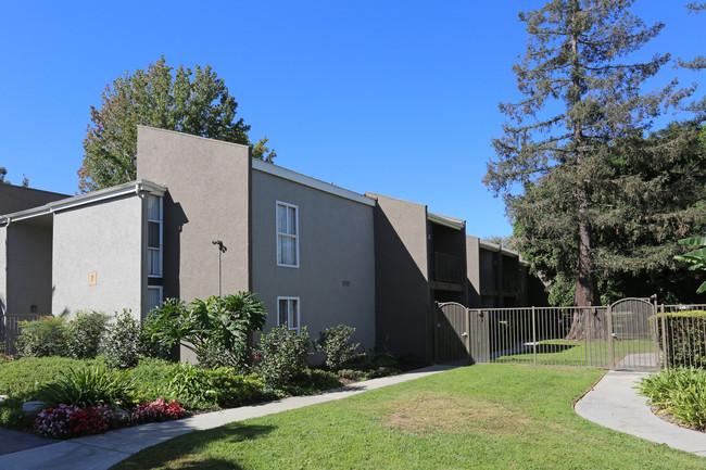 Vicino Apartments in Lakewood, CA - Building Photo - Building Photo